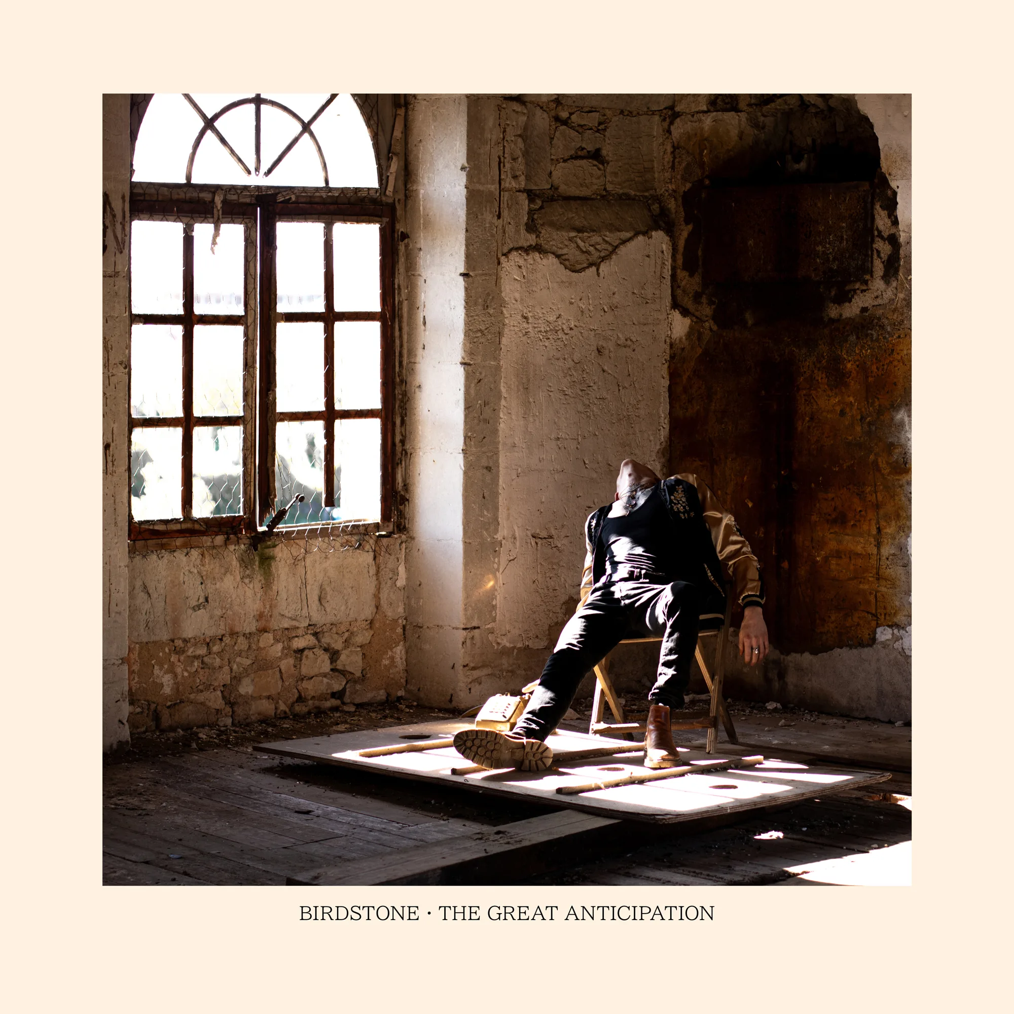 Official album cover art for the release The Great Anticipation by Birdstone