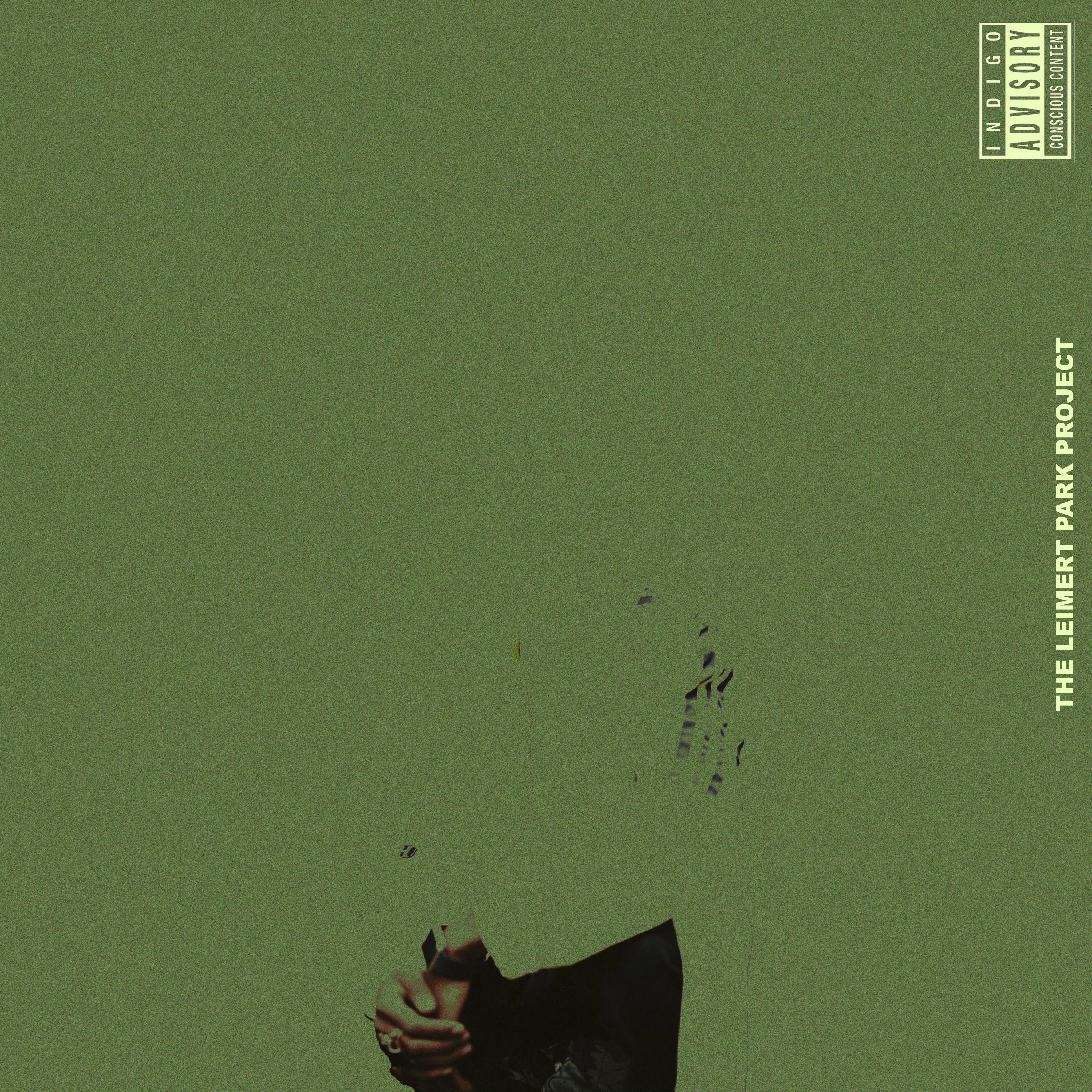 Official album cover artwork for The Leimert Park Project by TRU