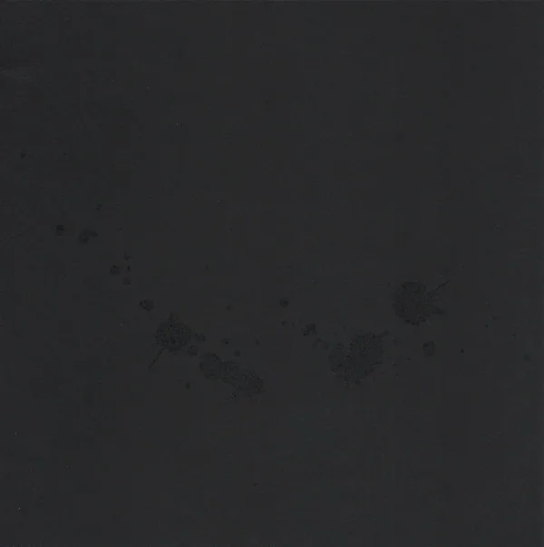 Official album cover art for the release Songs For The Victims (From A Decaying Country) by Human Flesh
