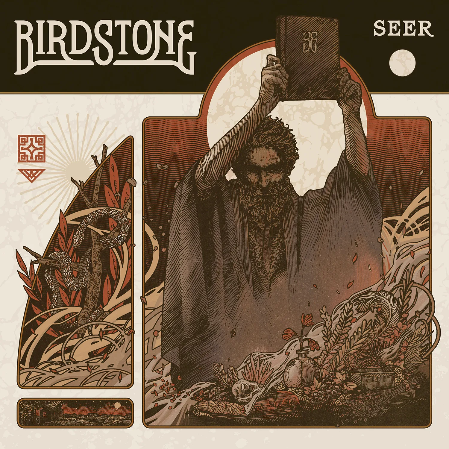 Official album cover art for the release Seer by Birdstone