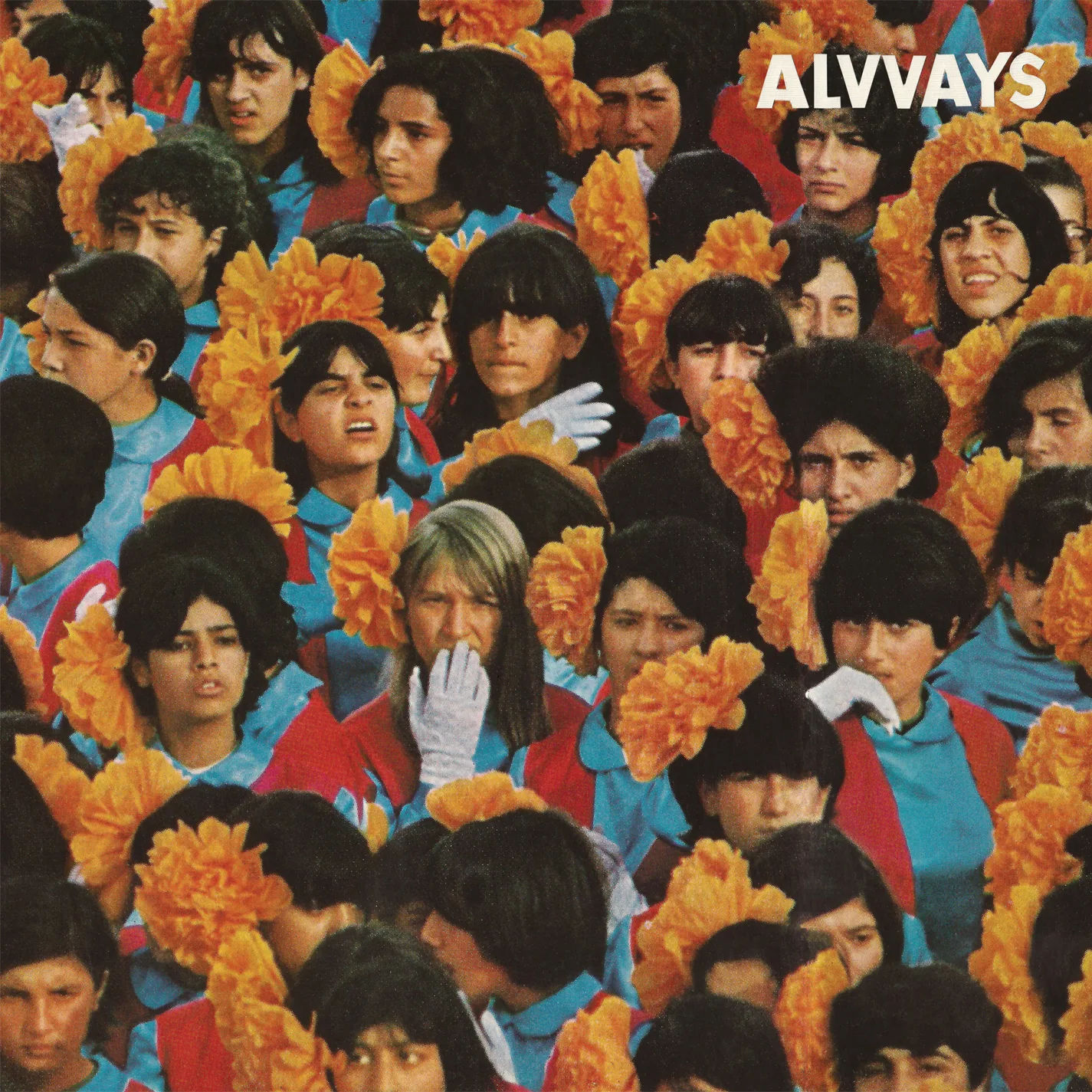 Official album cover art for the release Alvvays by Alvvays