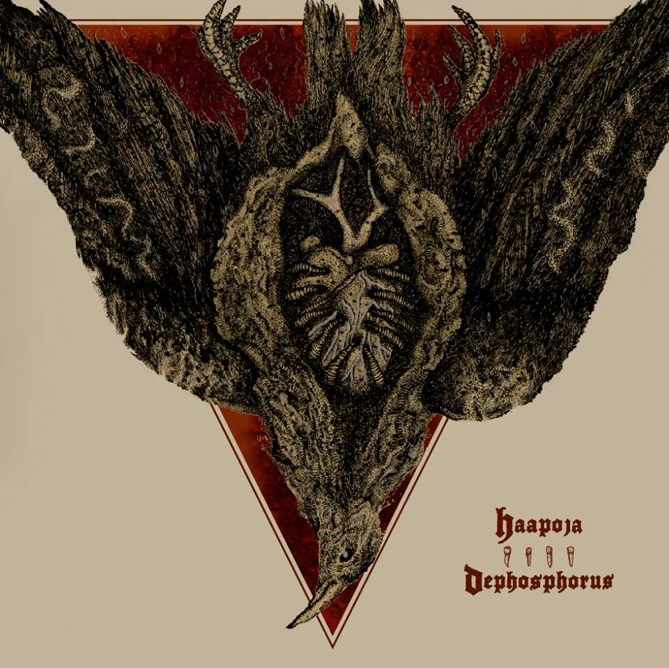 Official album cover art for the release Haapoja / Dephosphorus by Haapoja