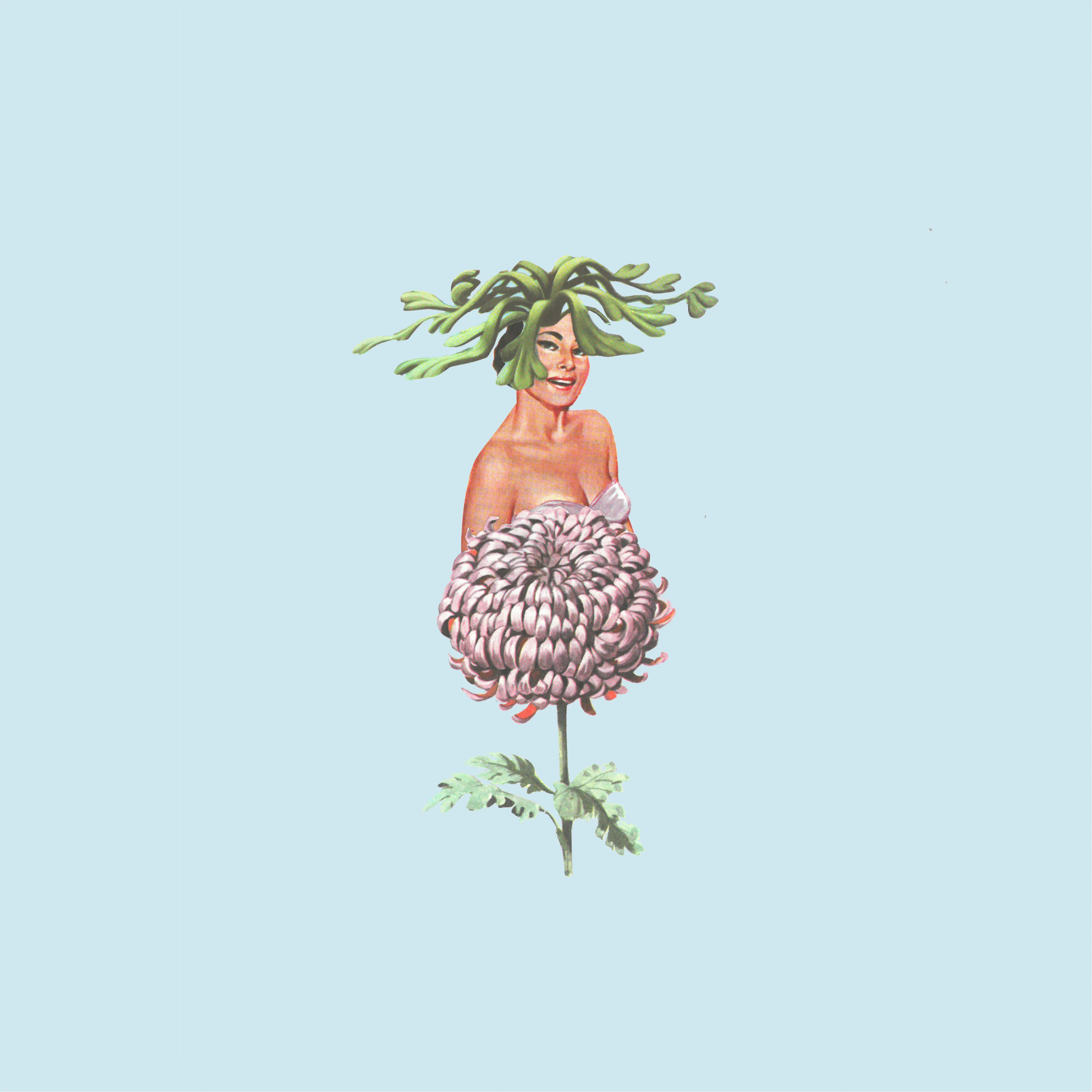 Official album cover art for the release Total Rest by Onlooker