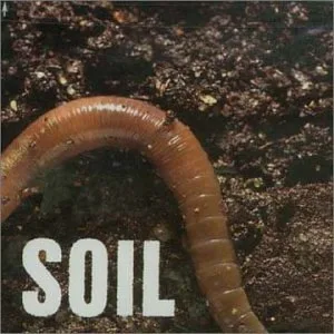 Official album cover art for the release SOiL by SOiL