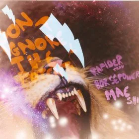 Official album cover art for the release Do Not Ignore the Potential by The Mae Shi