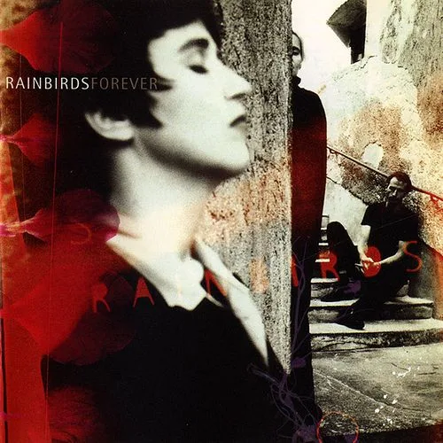 Official album cover art for the release Forever by Rainbirds