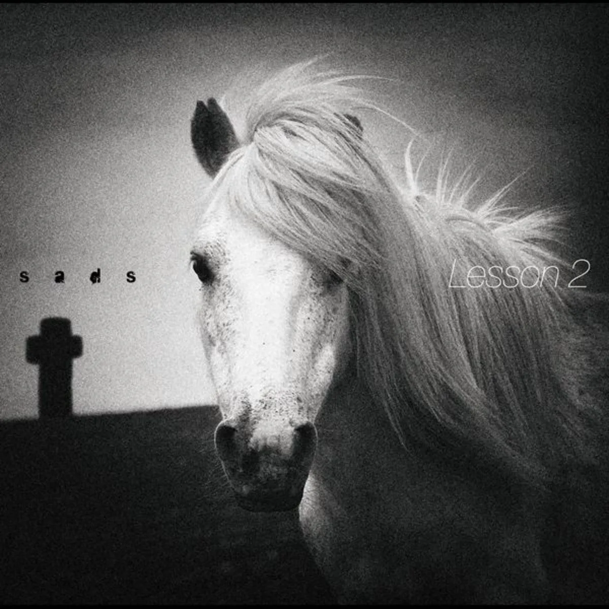 Official album cover art for the release Lesson 2 by SADS