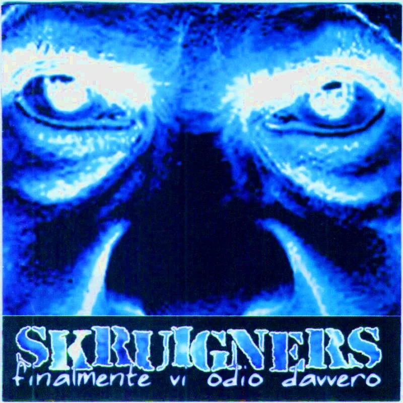 Official album cover art for the release Finalmente vi odio davvero by Skruigners