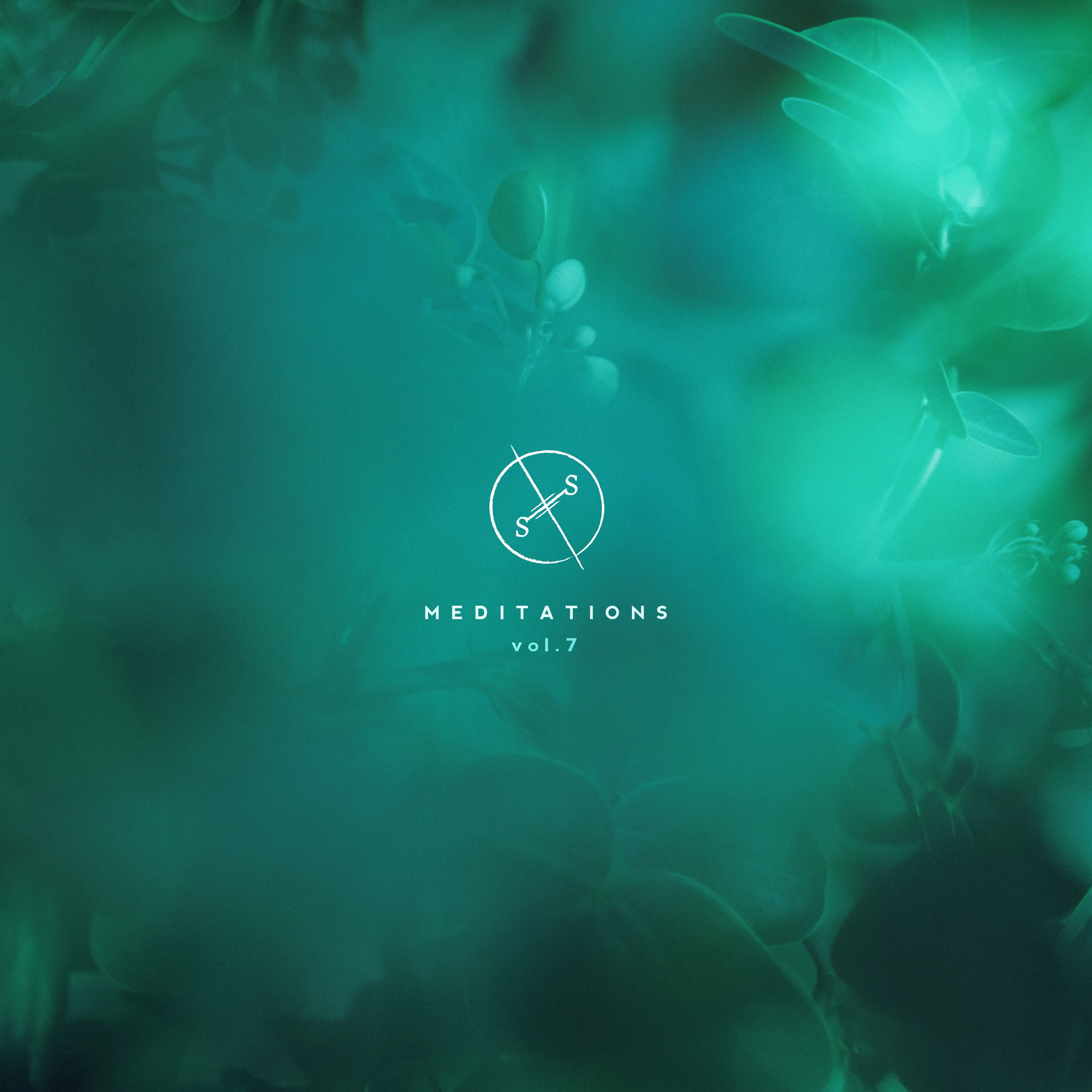 Official album cover artwork for Meditations, Vol. 7 by Salt of the Sound