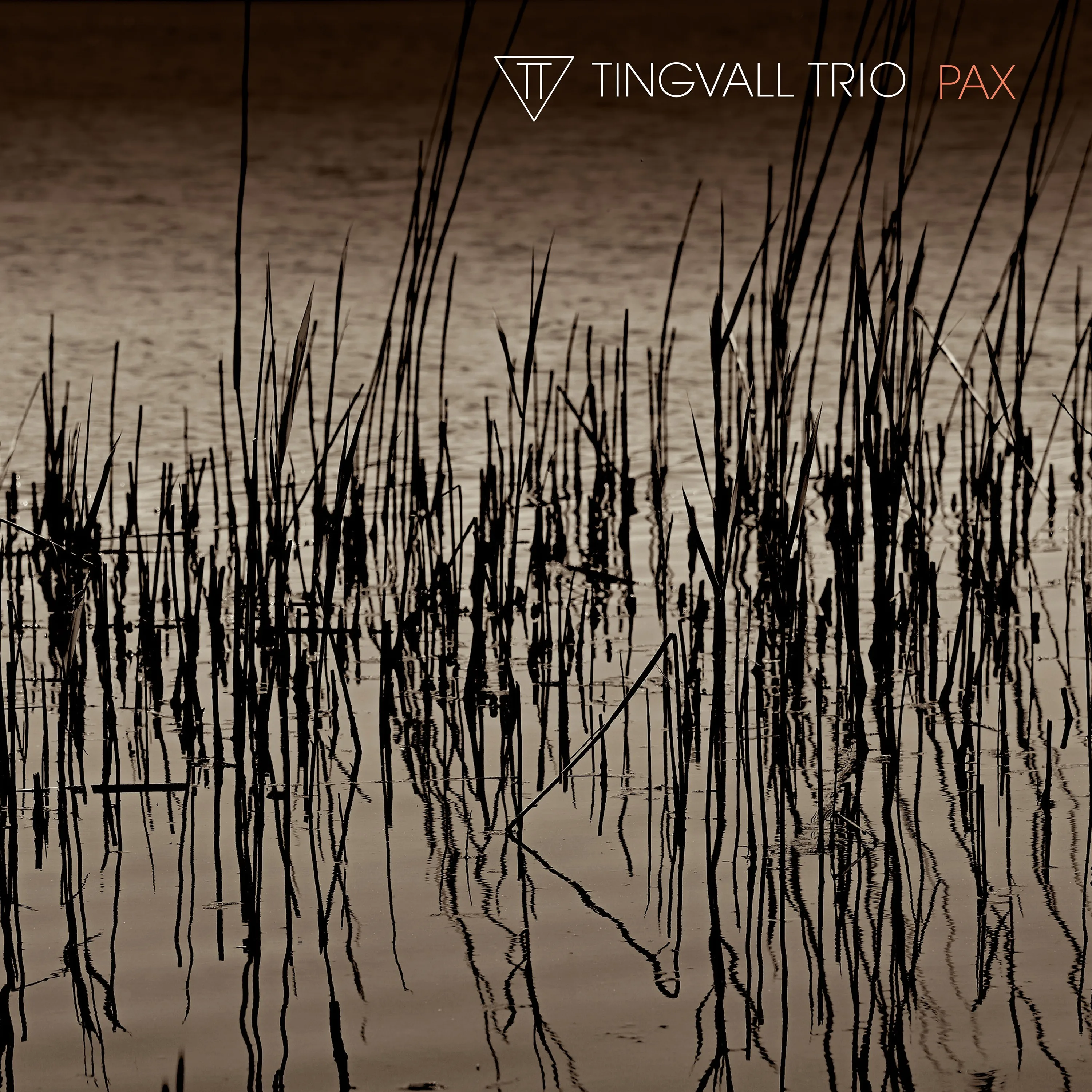 Official album cover art for the release Pax by Tingvall Trio