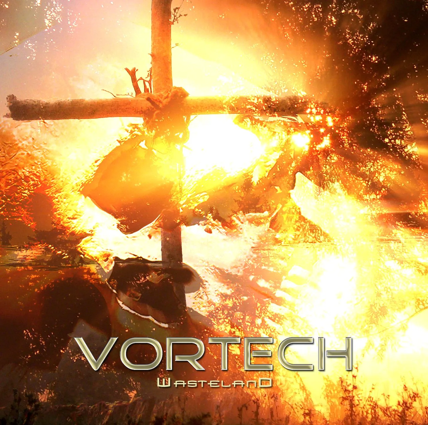 Official album cover art for the release Wasteland by Vortech