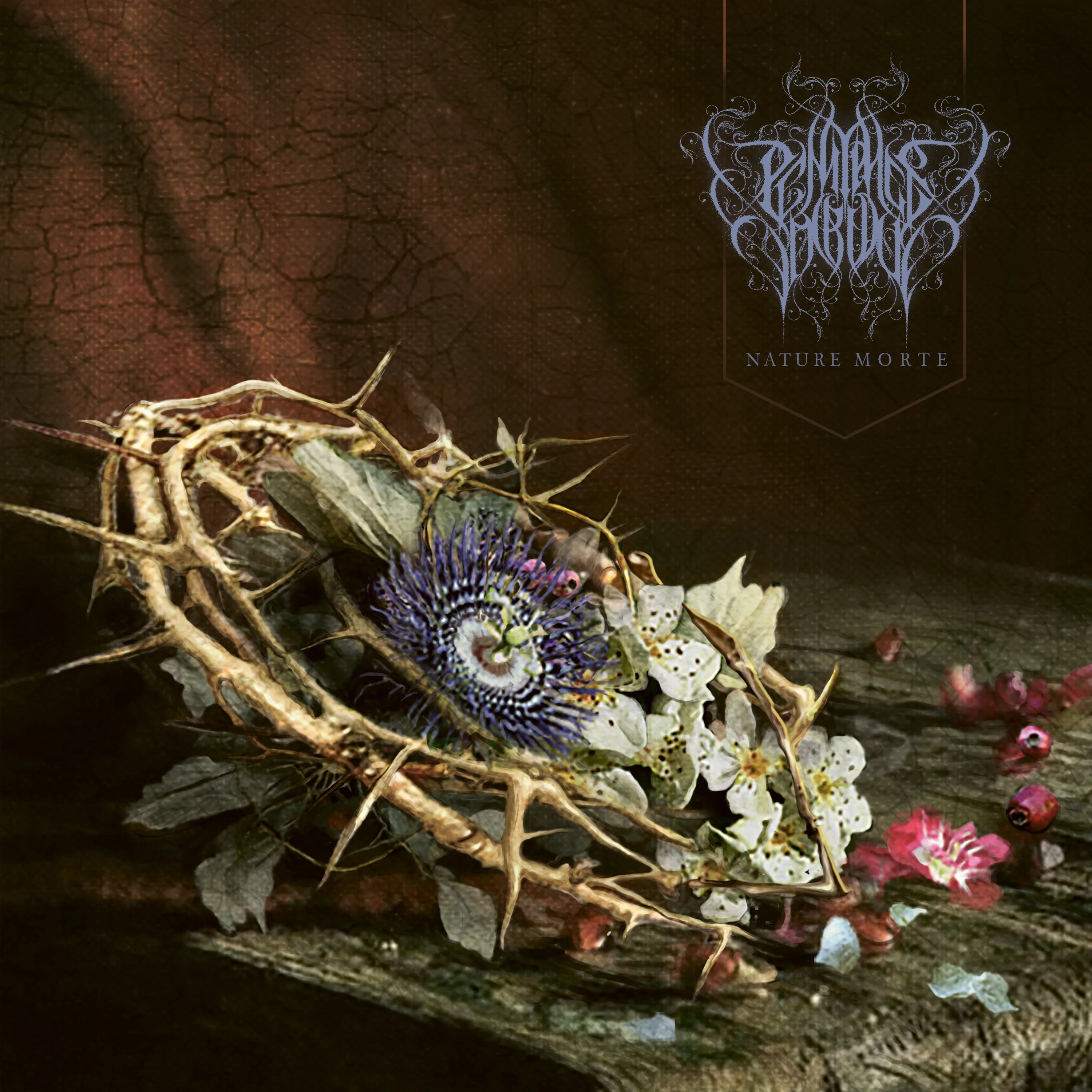 Official album cover art for the release Nature Morte by Pénitence Onirique