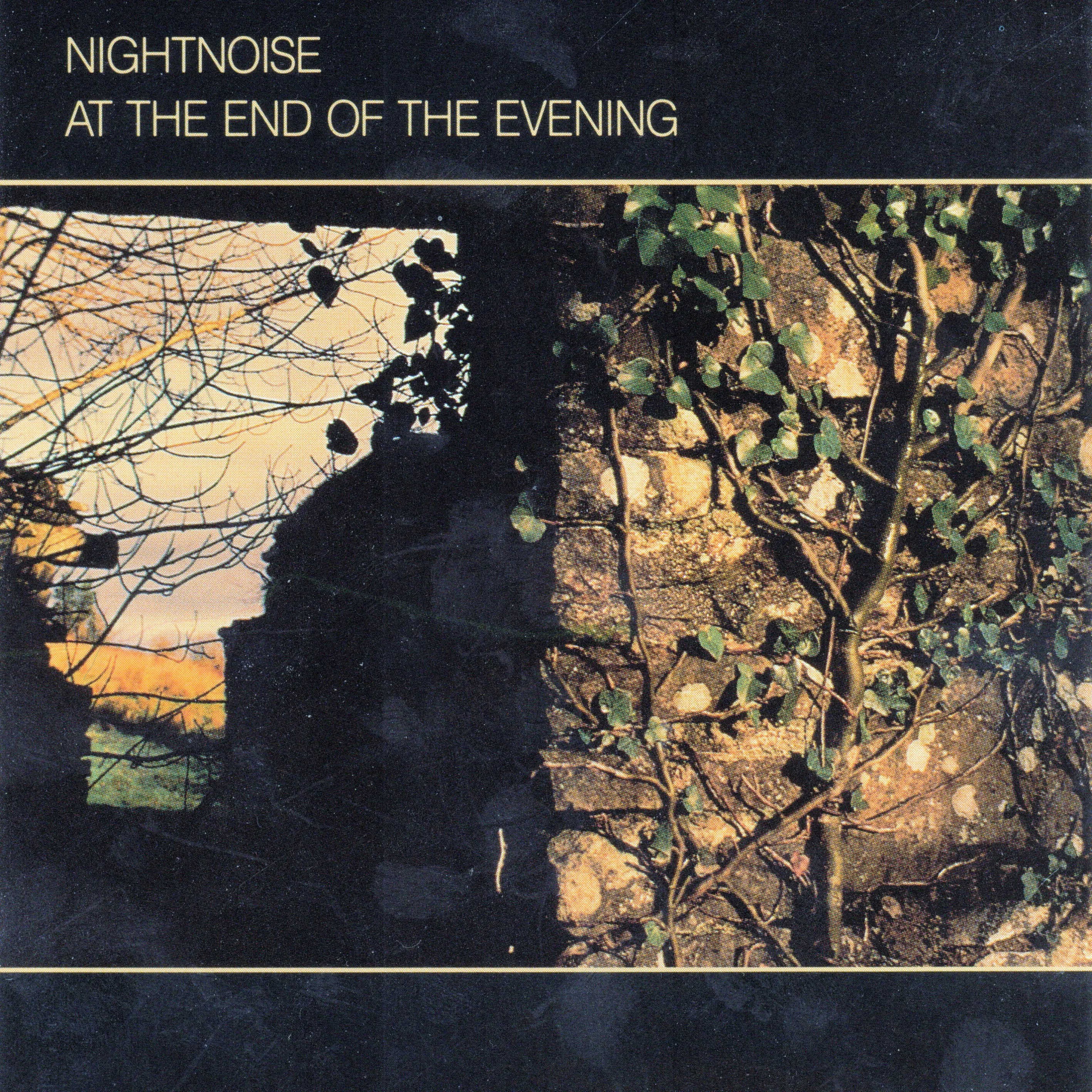 Official album cover art for the release At the End of the Evening by Nightnoise