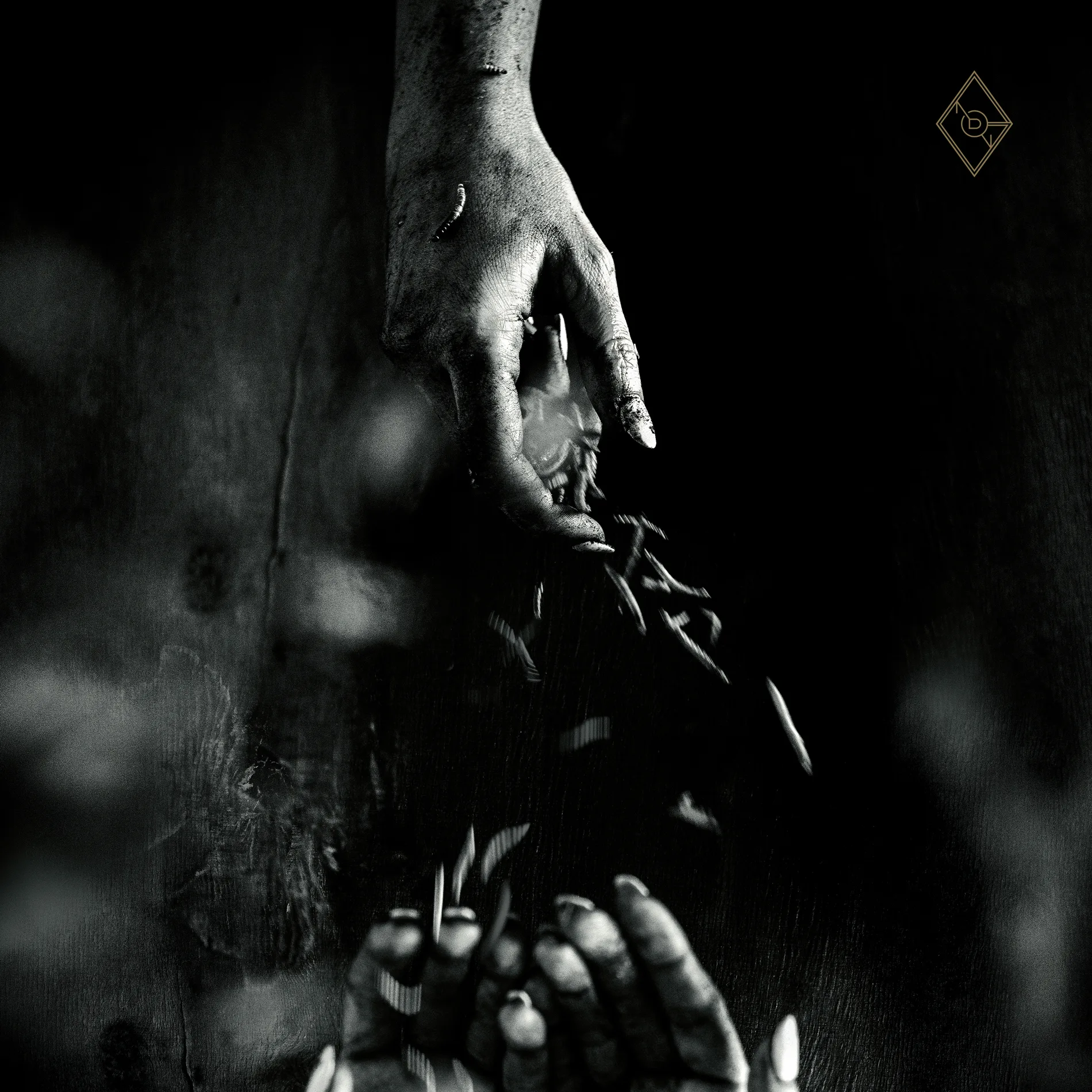 Official album cover art for the release Głód by Non Opus Dei