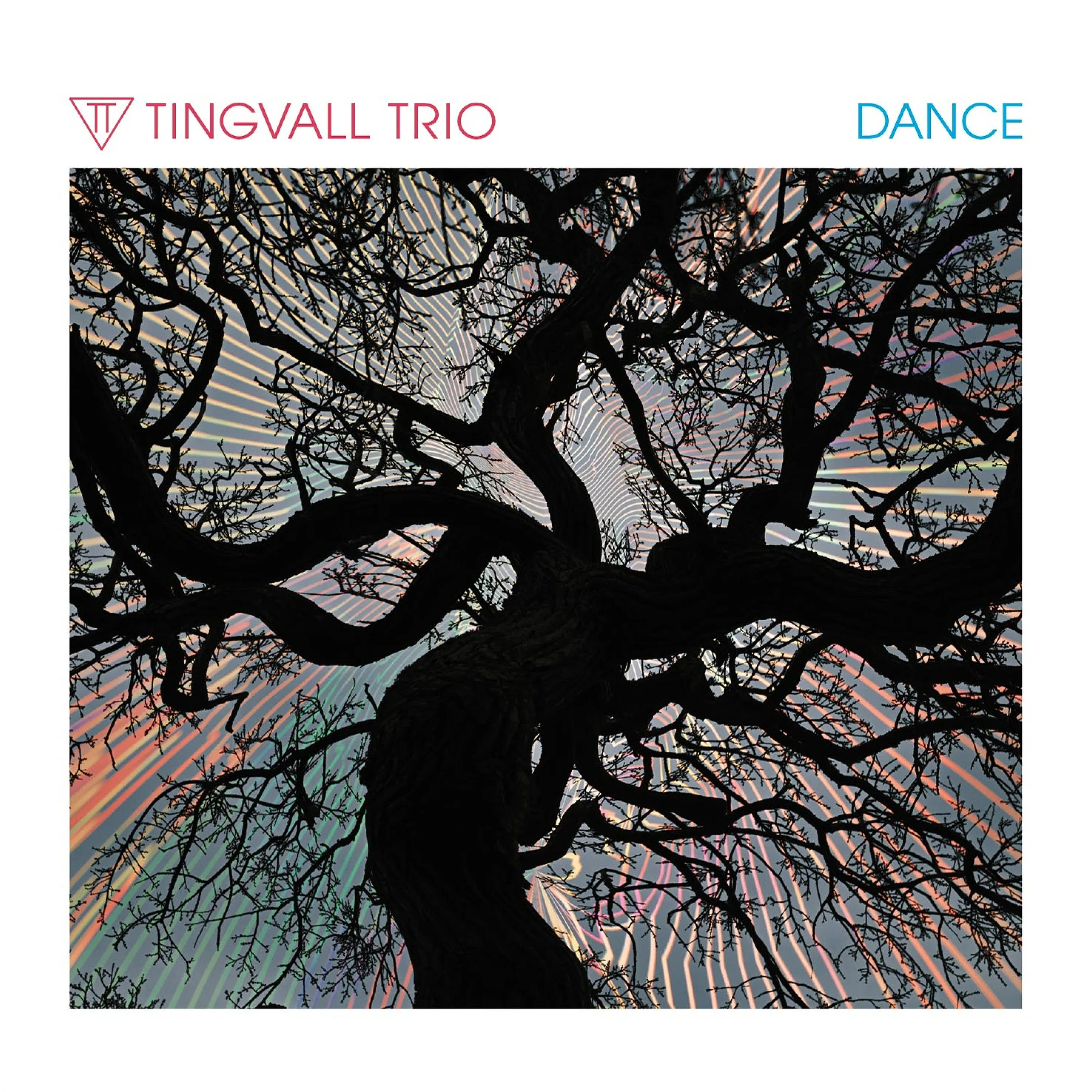 Official album cover art for the release Dance by Tingvall Trio