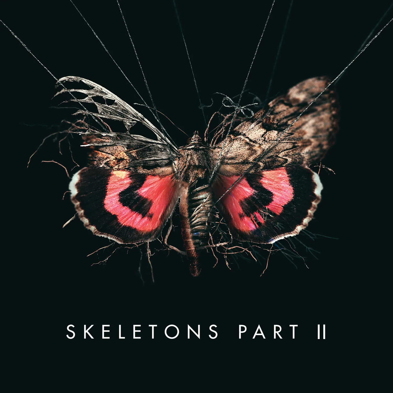Skeletons, Part II