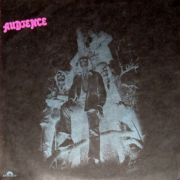 Official album cover art for the release Audience by Audience