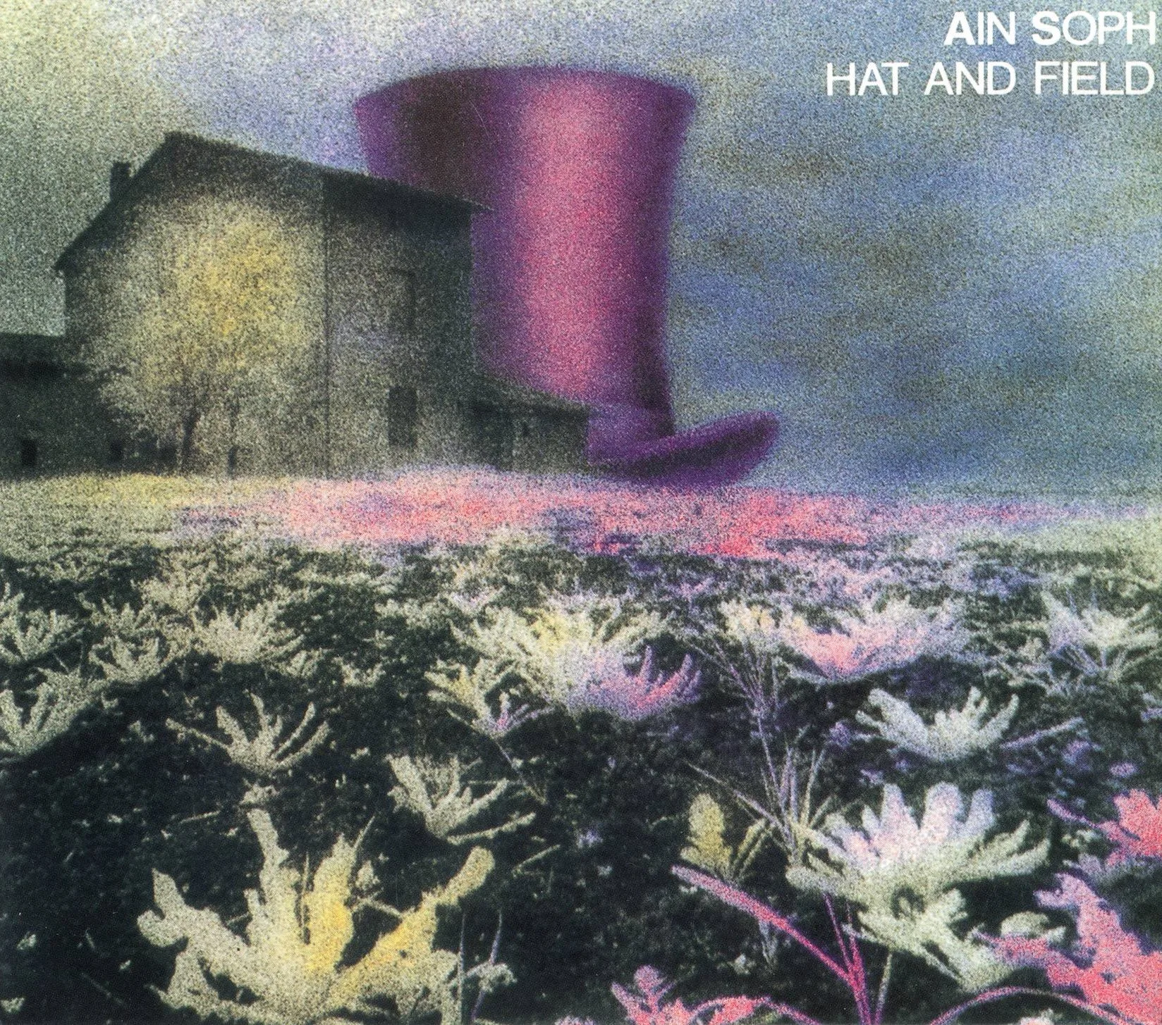 Official album cover art for the release Hat and Field by Ain Soph