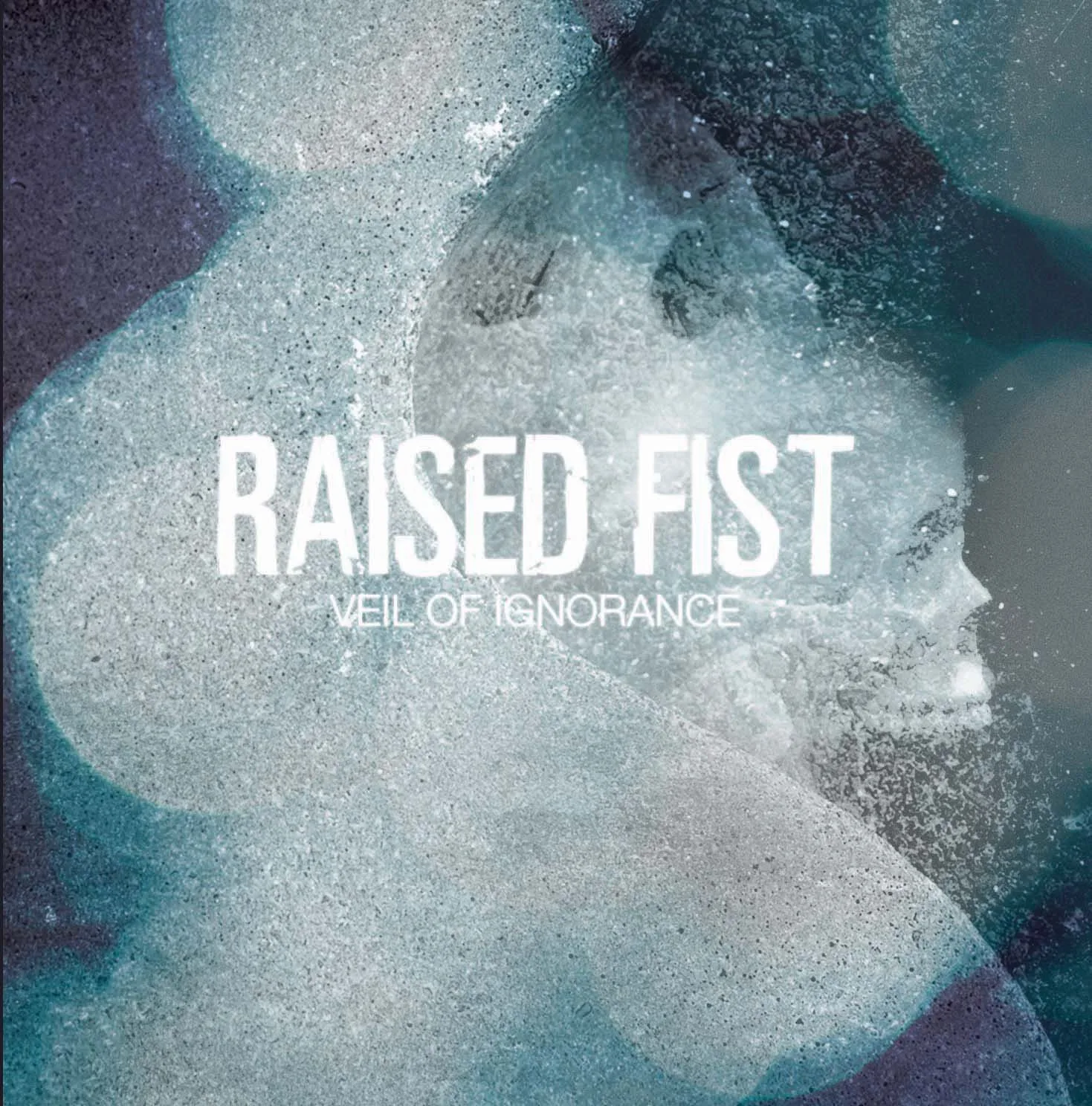 Official album cover art for the release Veil of Ignorance by Raised Fist