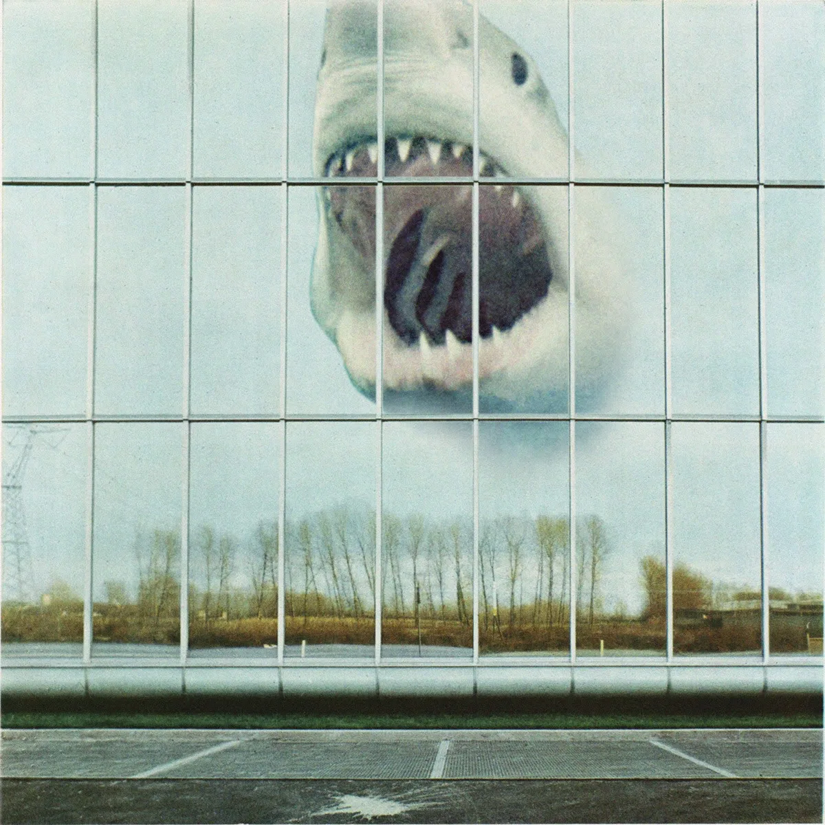 Official album cover art for the release Wilderness Heart by Black Mountain