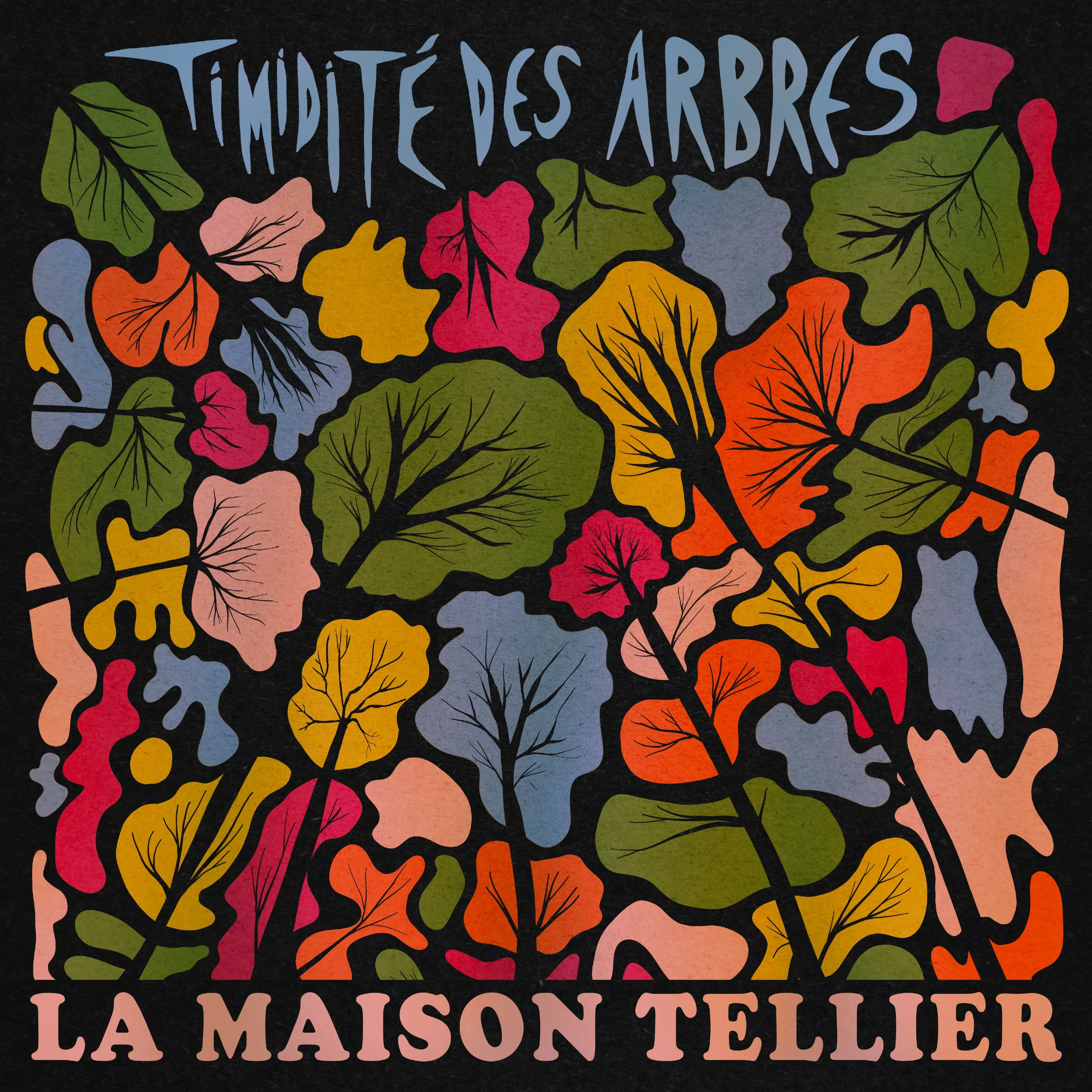 Official album cover artwork for Timidité des arbres by La Maison Tellier