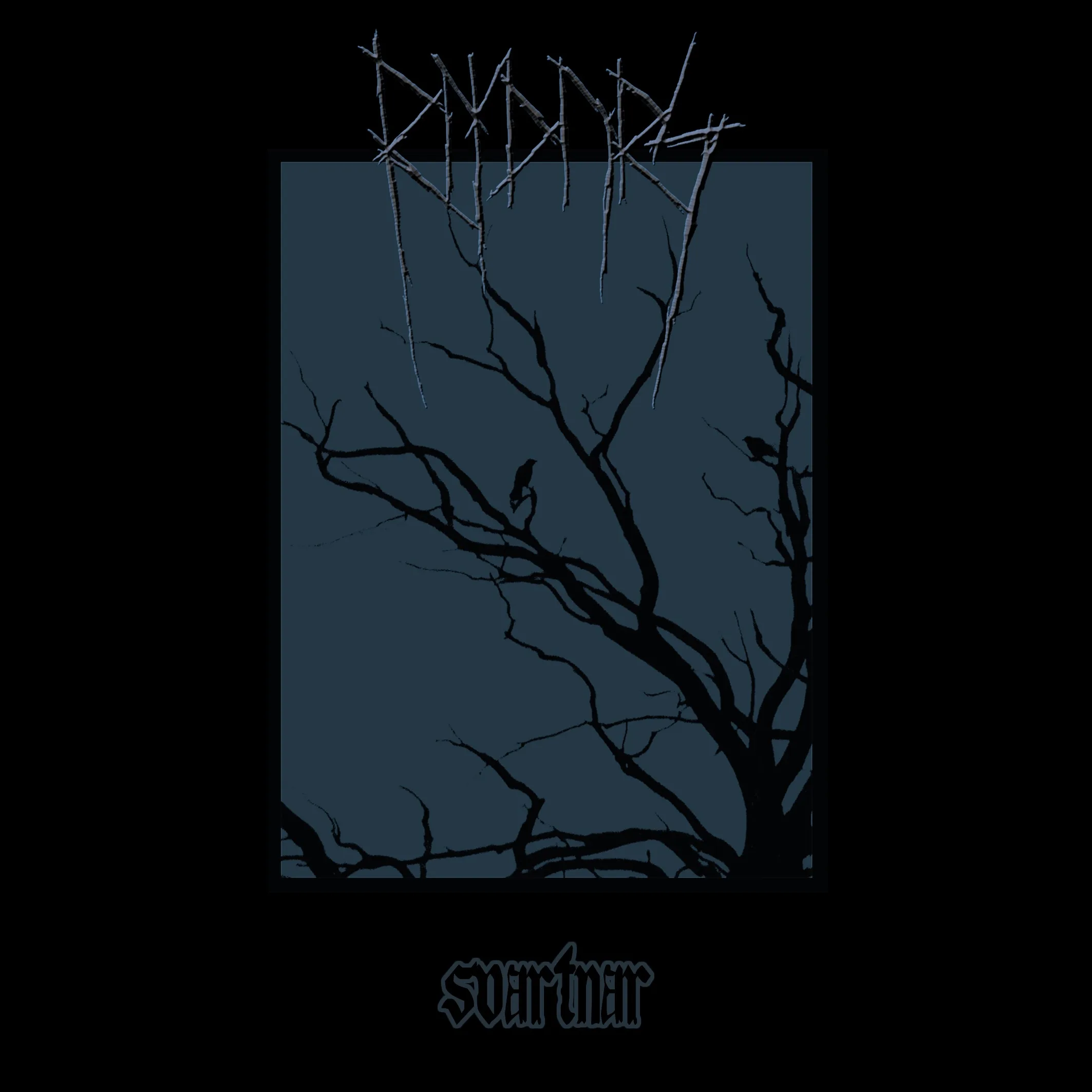 Official album cover art for the release Svartnar by Rimthurs