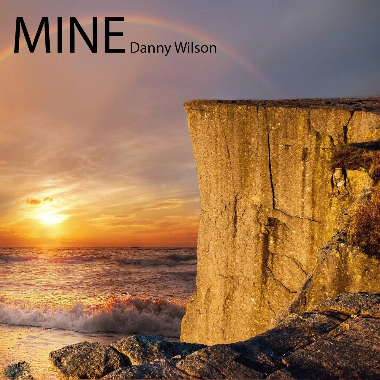 Official album cover art for the release Mine by Danny Wilson