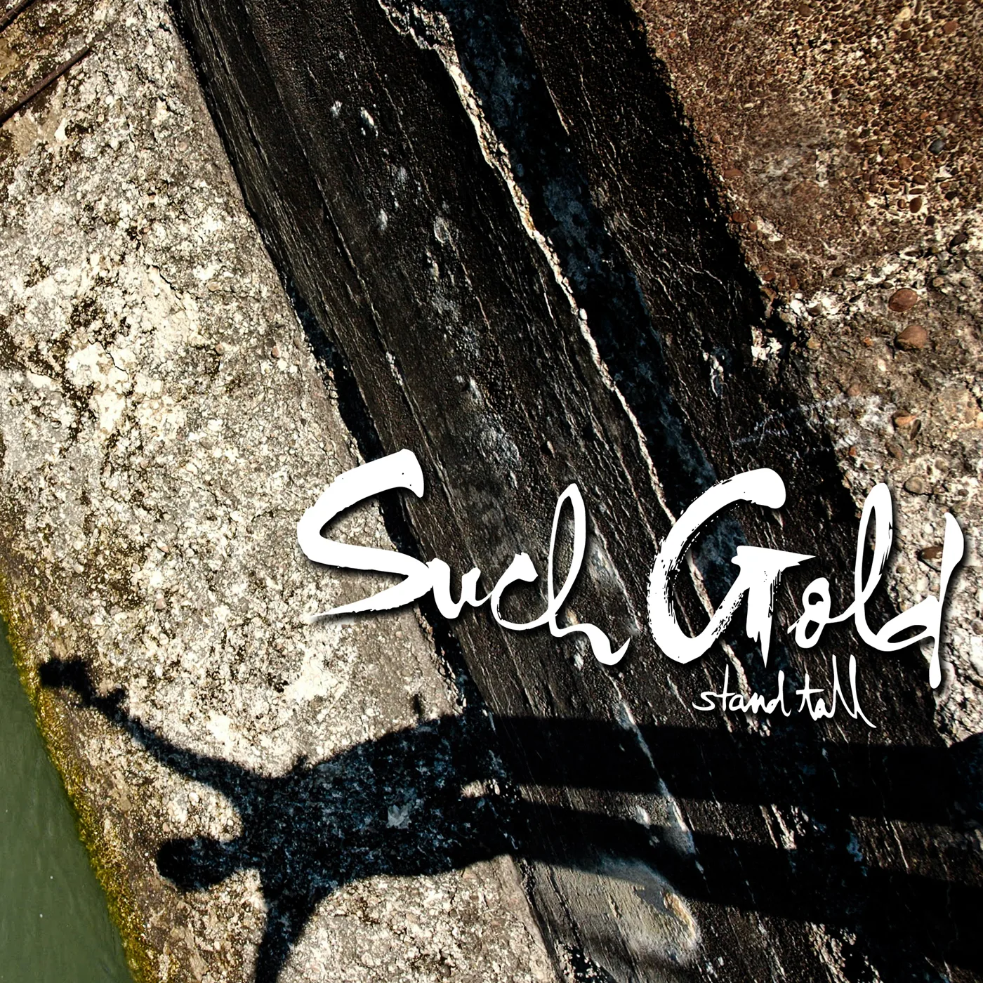 Official album cover art for the release Stand Tall by Such Gold