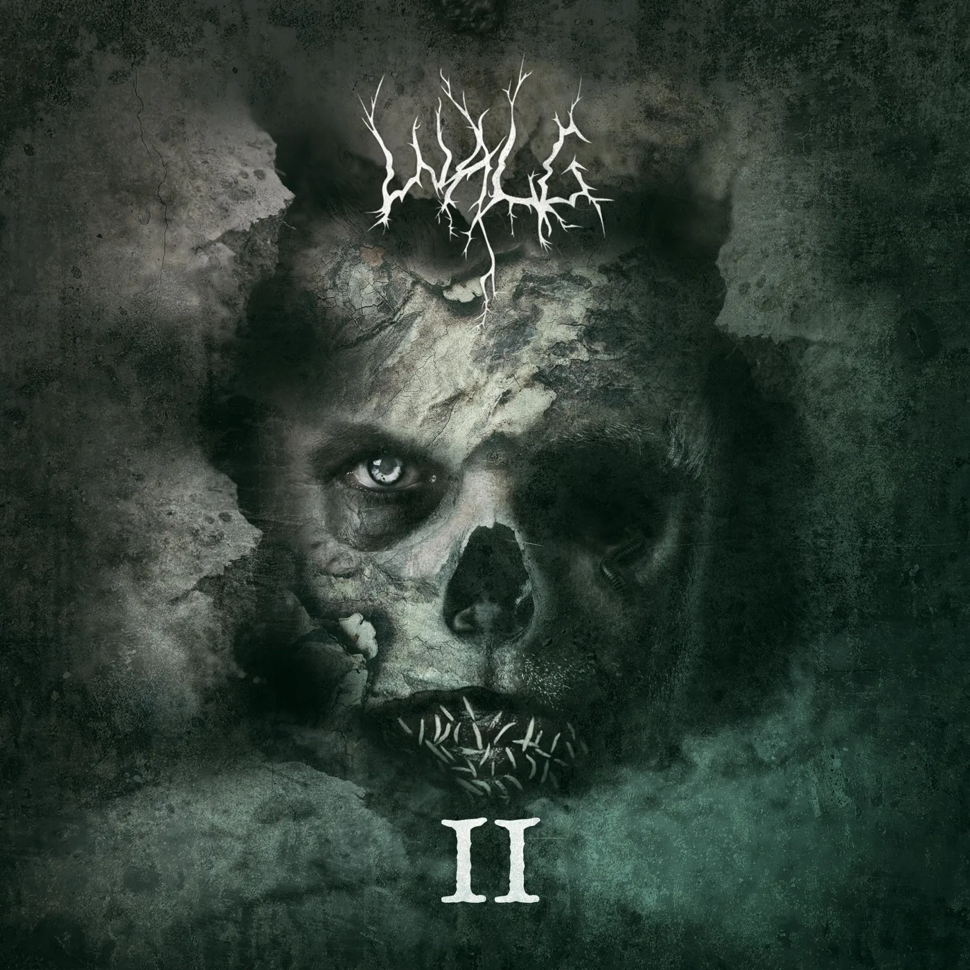 Official album cover art for the release II by Walg