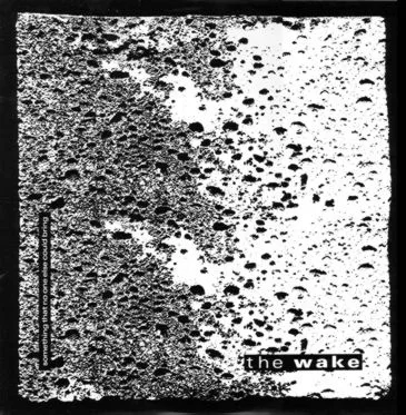 Something That No One Else Could Bring