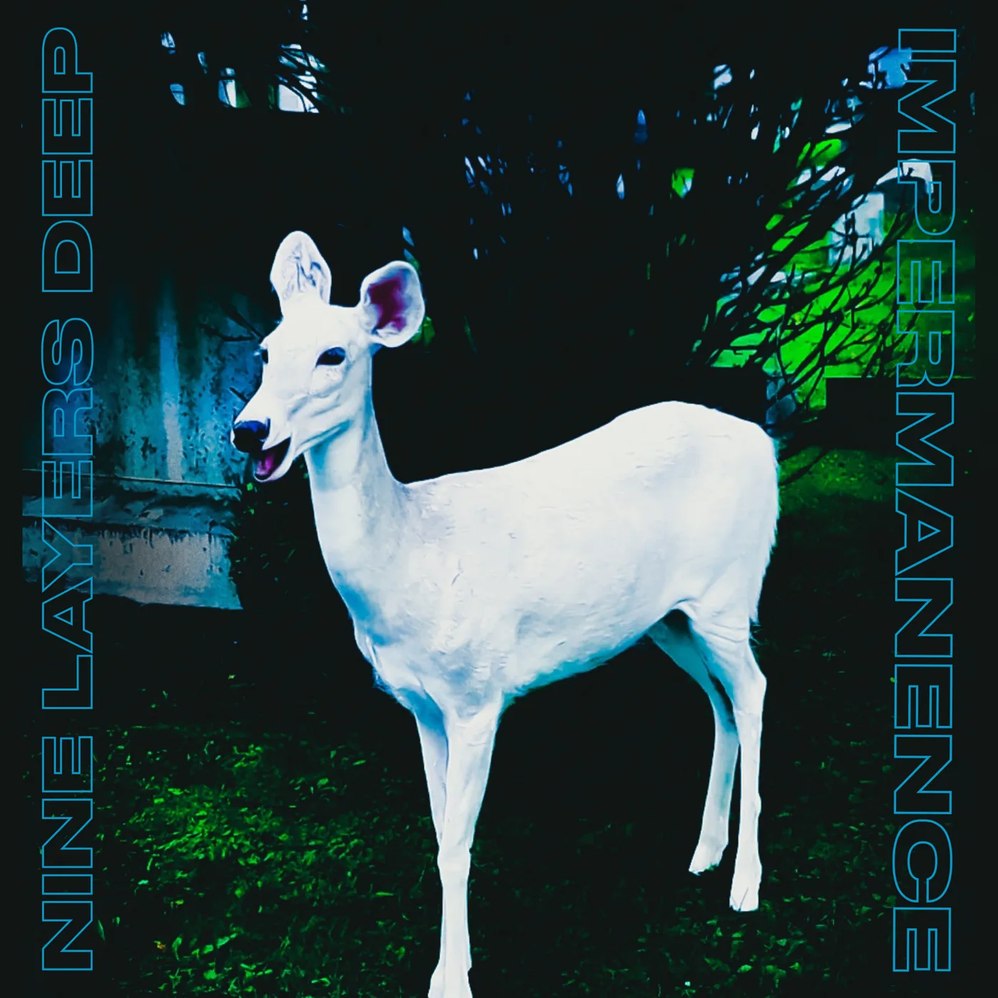 Official album cover art for the release Impermanence by Nine Layers Deep
