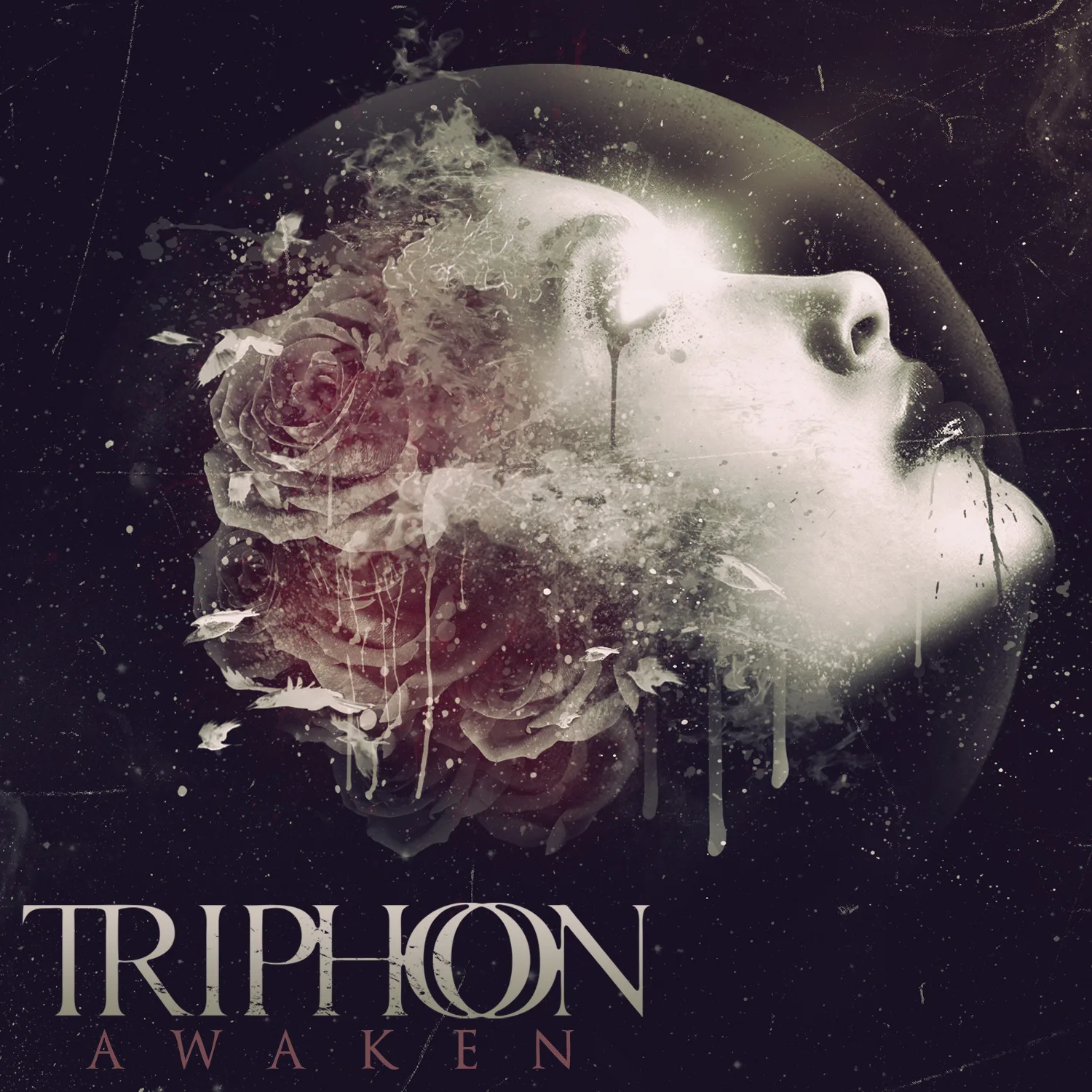Official album cover art for the release Awaken by Triphon