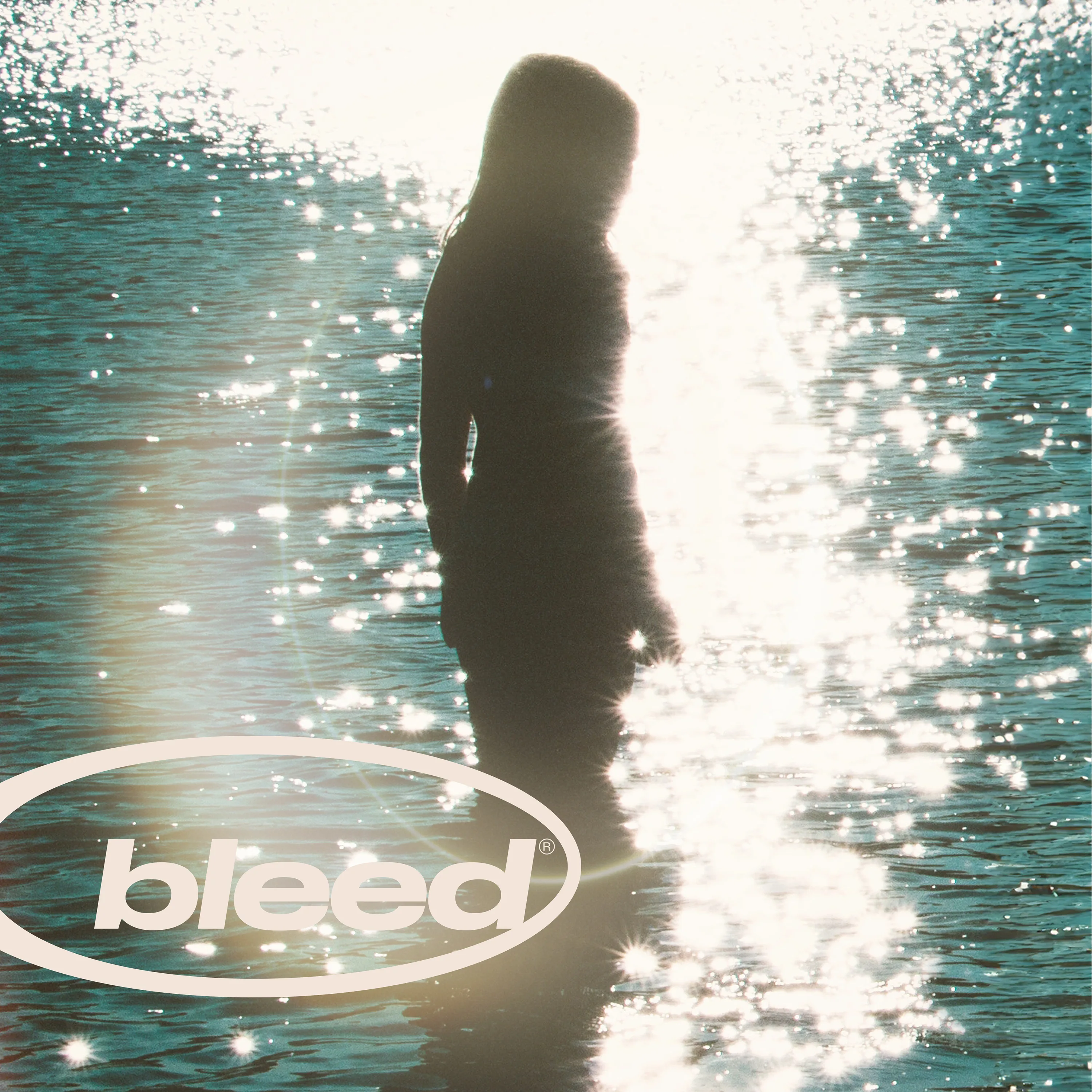 Official album cover art for the release Bleed by Bleed