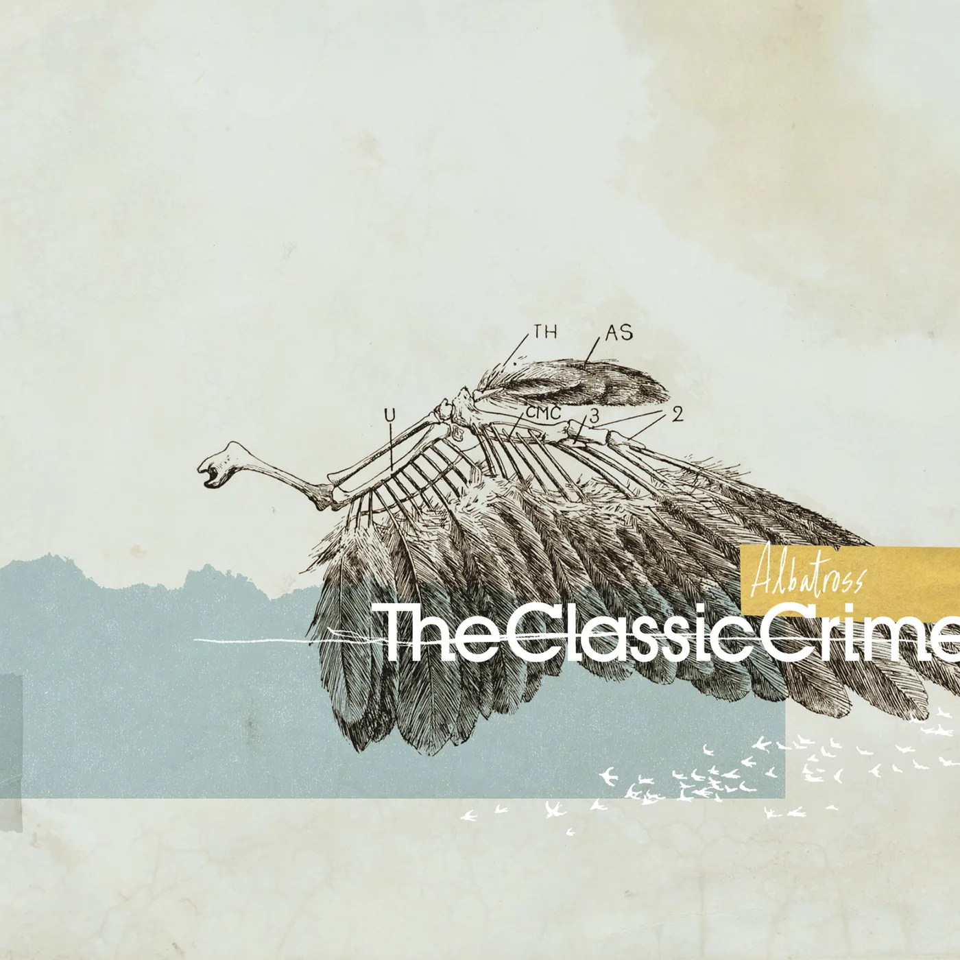 Official album cover art for the release Albatross by The Classic Crime