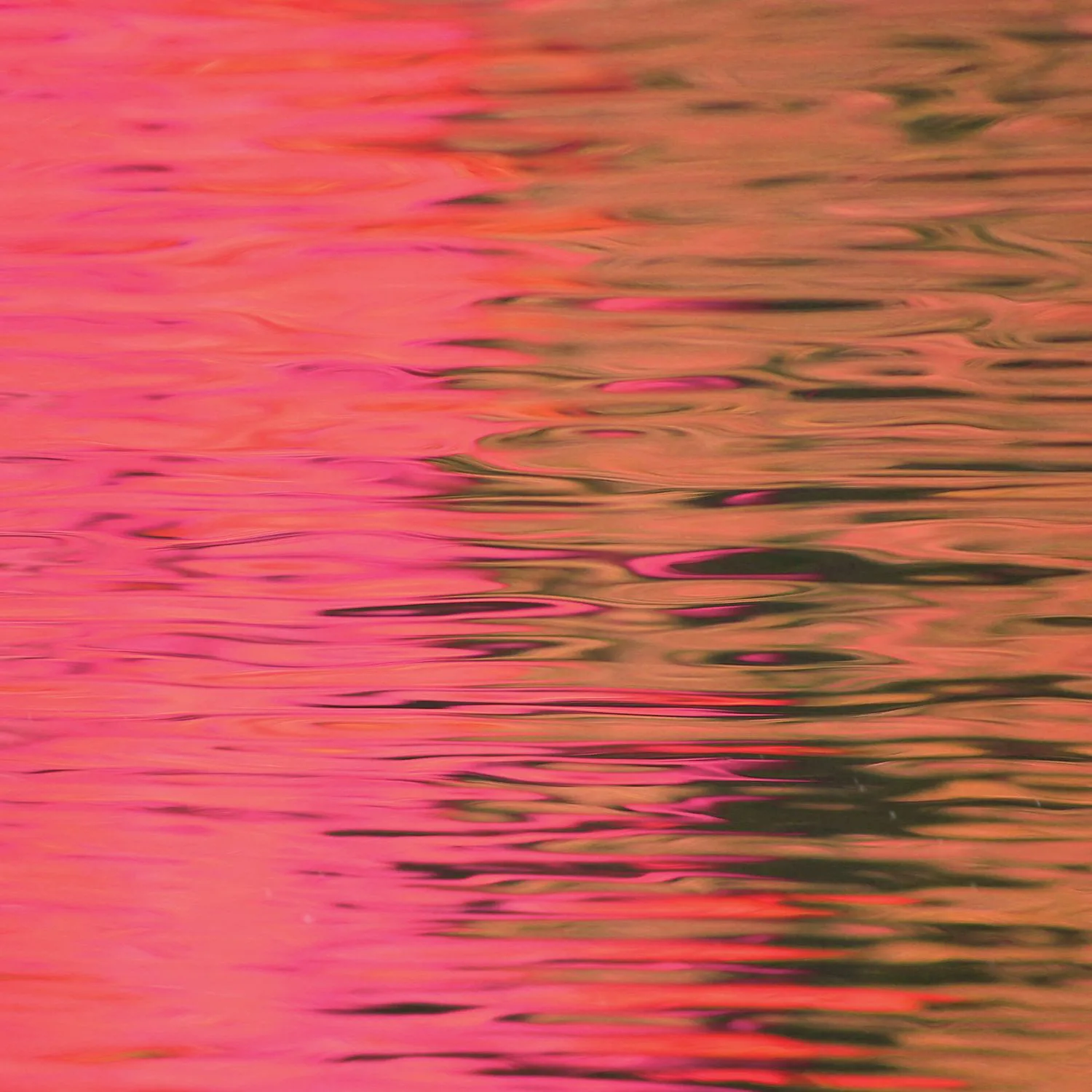 Official album cover artwork for Dead Reflection by Silverstein