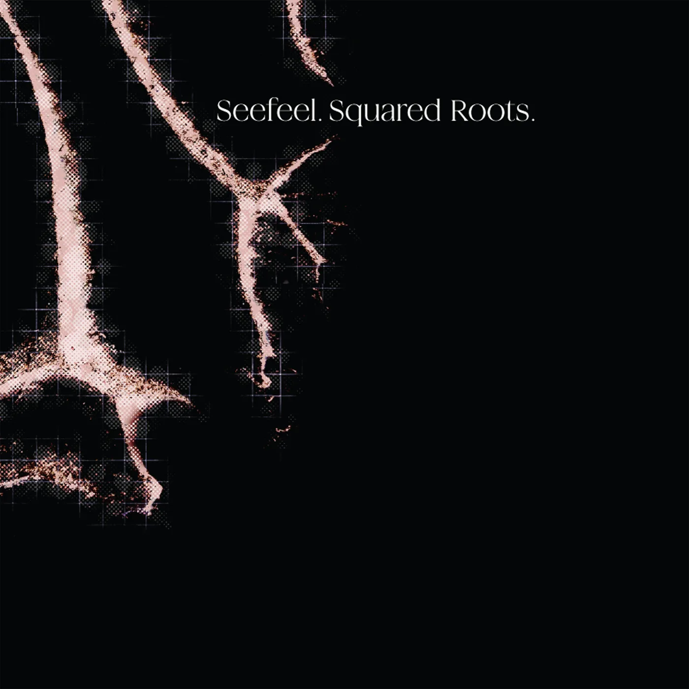 Official album cover art for the release Squared Roots by Seefeel