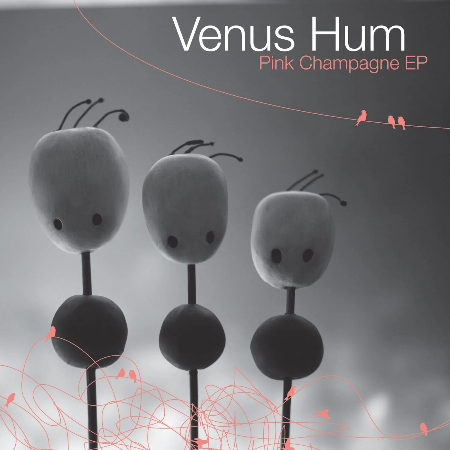 Official album cover art for the release Pink Champagne EP by Venus Hum