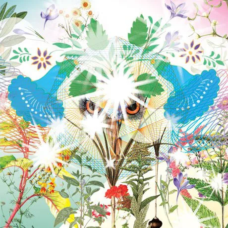 Official album cover art for the release Gamel by OOIOO