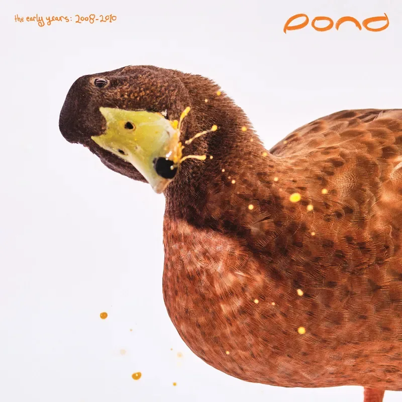 Official album cover art for the release The Early Years: 2008-2010 by Pond