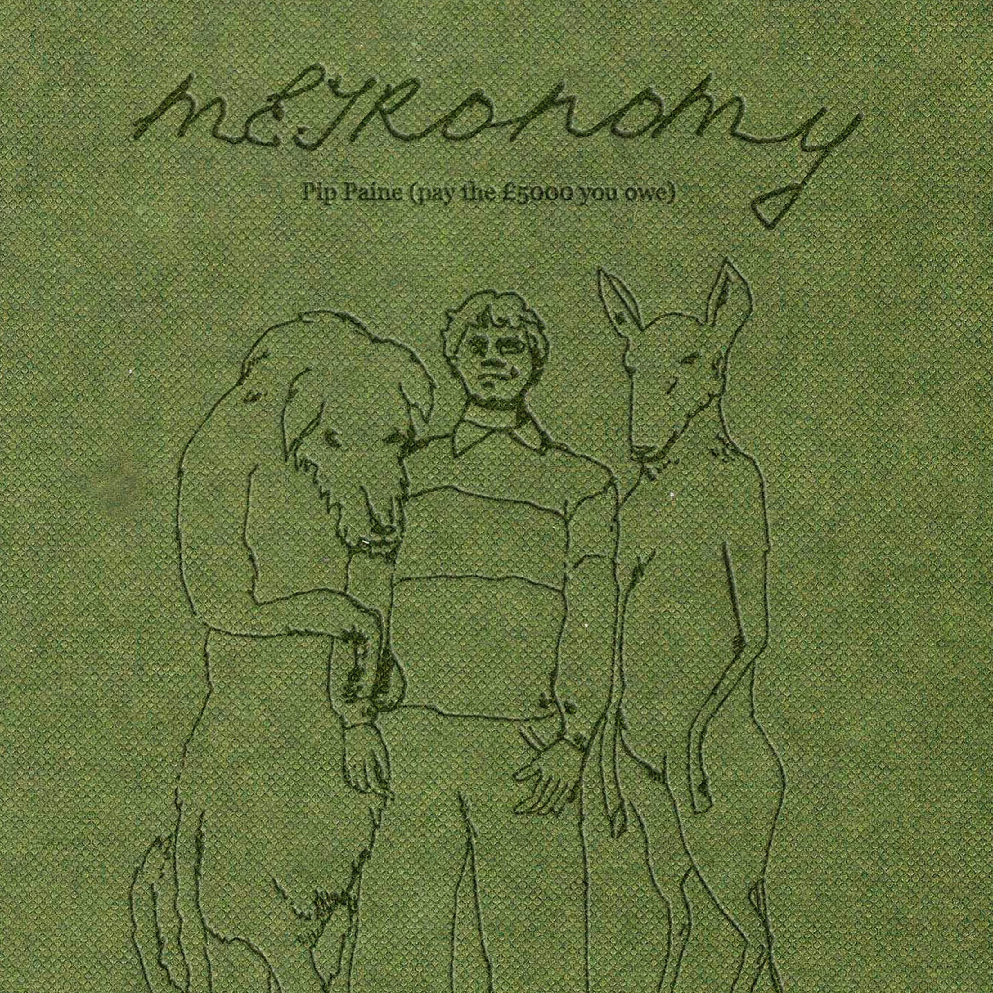 Pip Paine (Pay the £5000 You Owe)