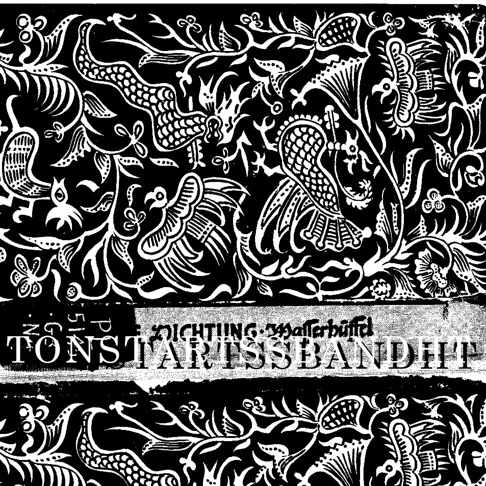 Official album cover art for the release Water Buffalo by Tonstartssbandht