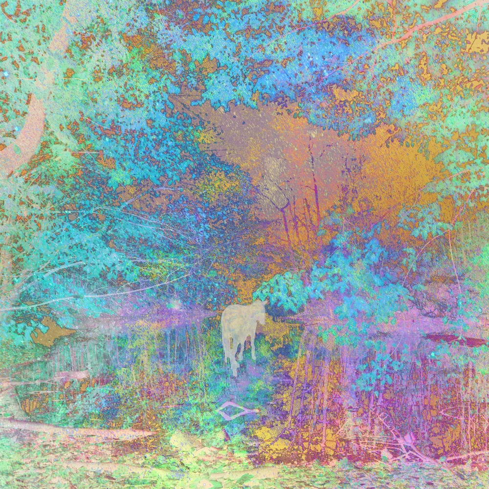 Selected Work 1999-2002 (b-sides)