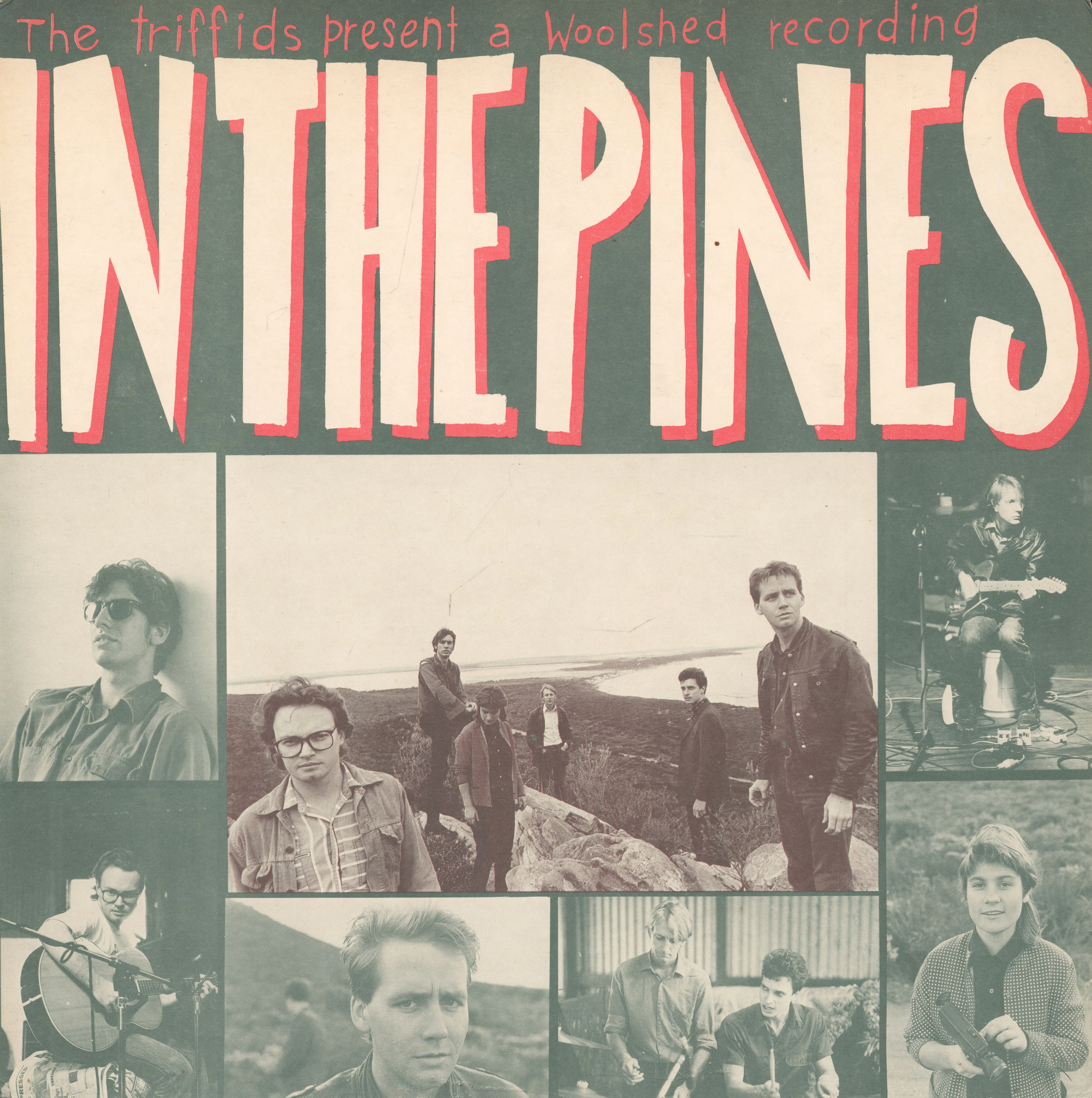 Official album cover art for the release In the Pines by The Triffids