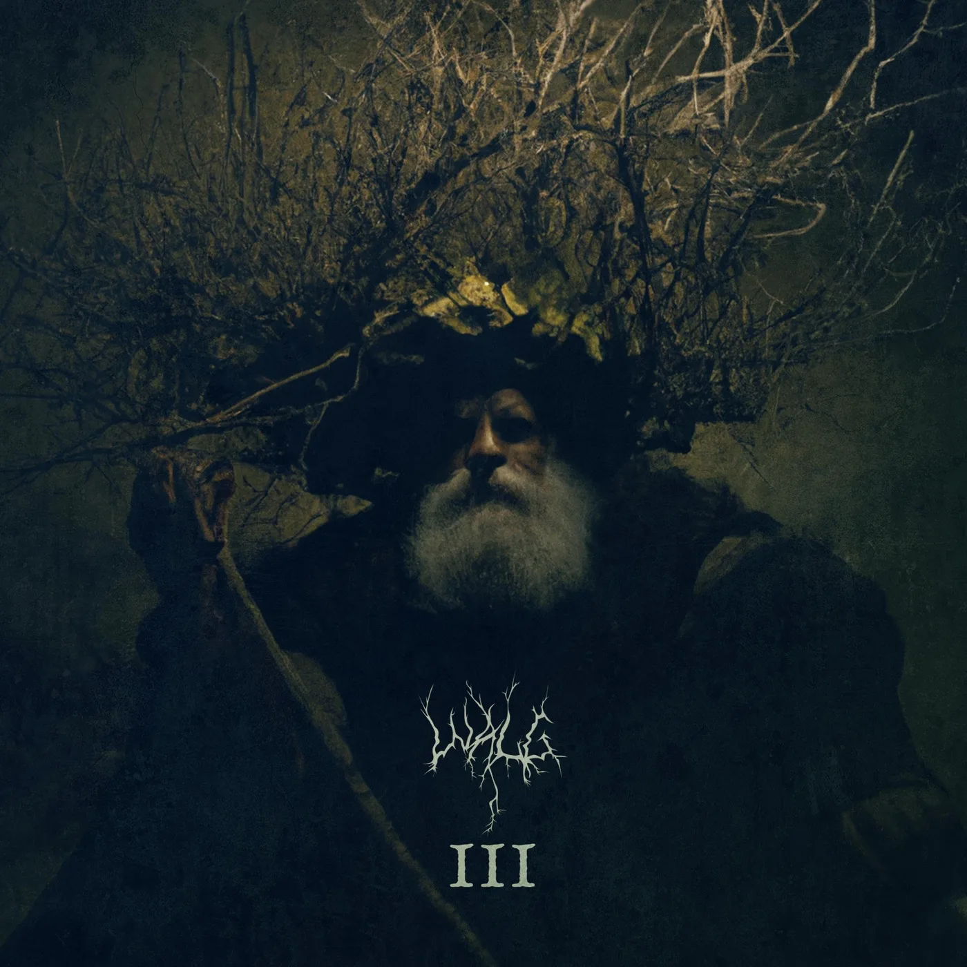 Official album cover art for the release III by Walg