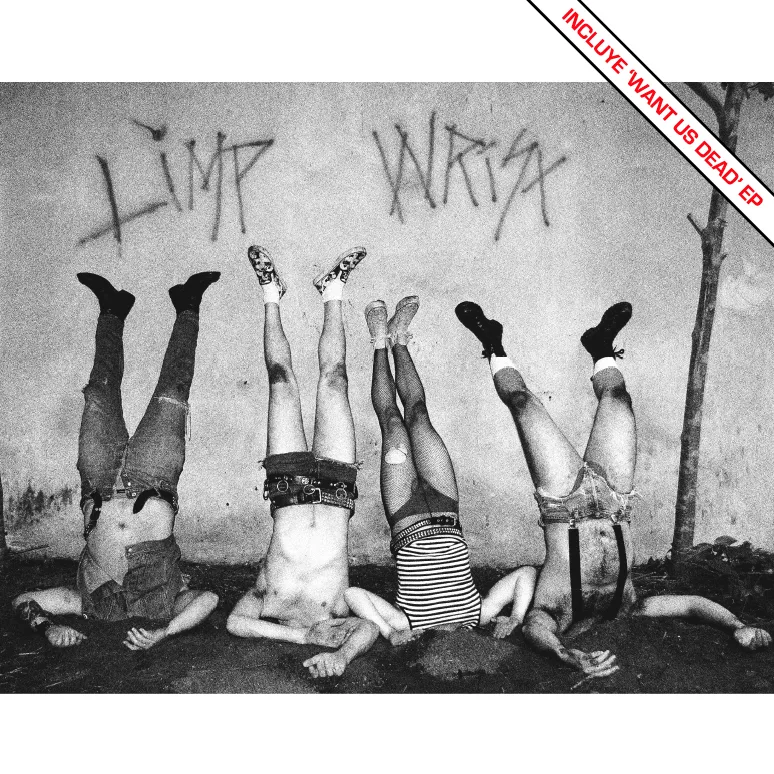 Official album cover art for the release Want Us Dead by Limp Wrist