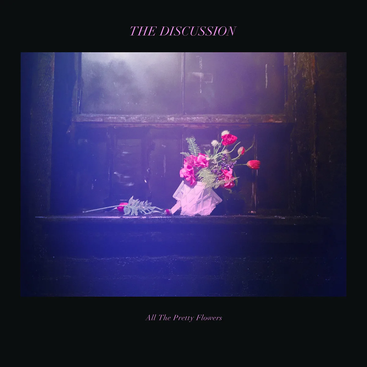 Official album cover art for the release All the Pretty Flowers by The Discussion