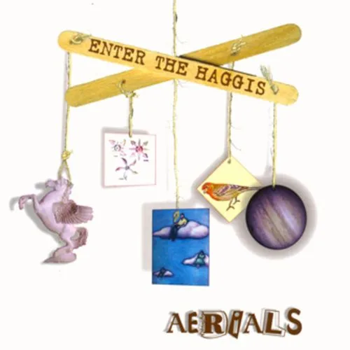 Official album cover art for the release Aerials by Enter the Haggis