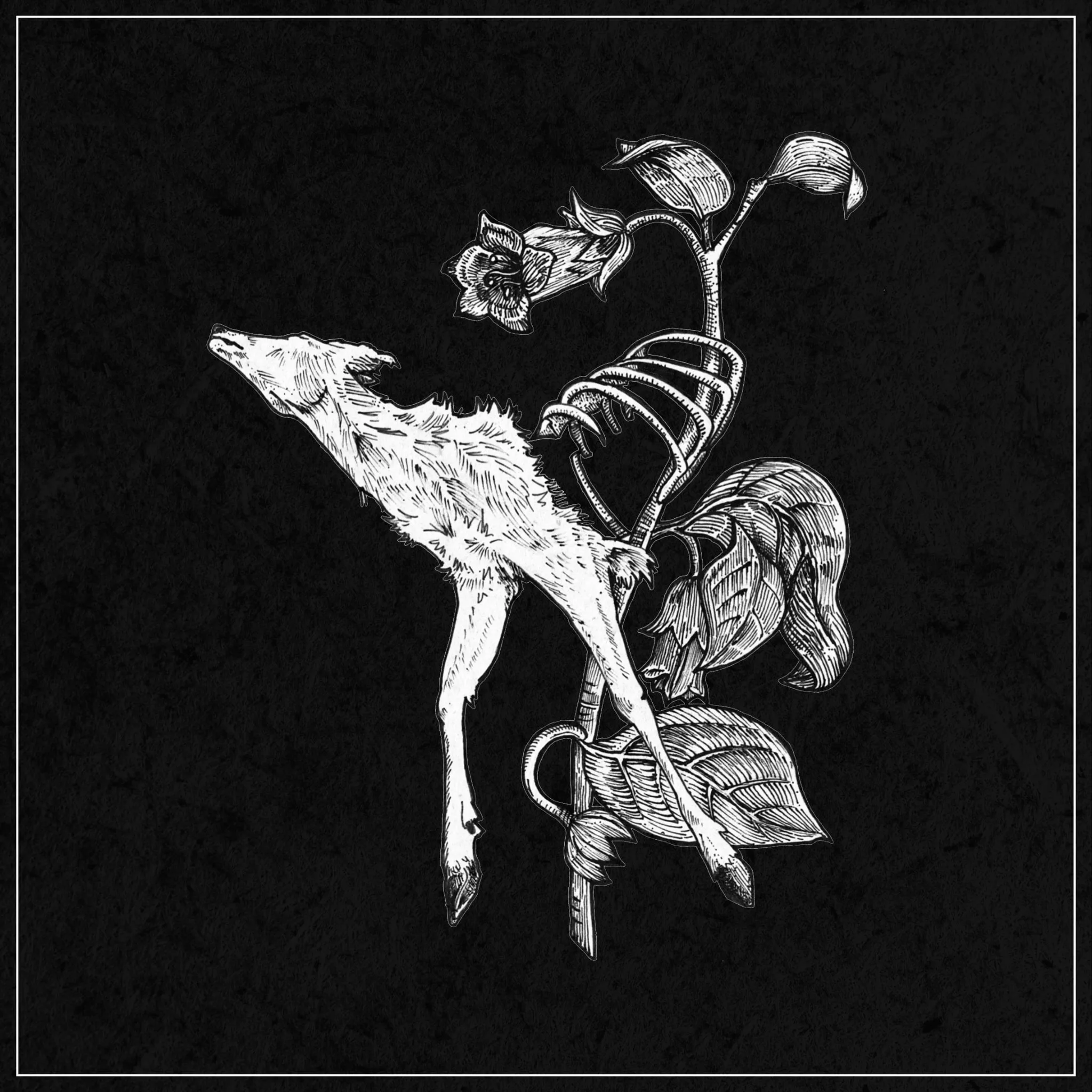 Official album cover artwork for World of Decay by Suicide Forest