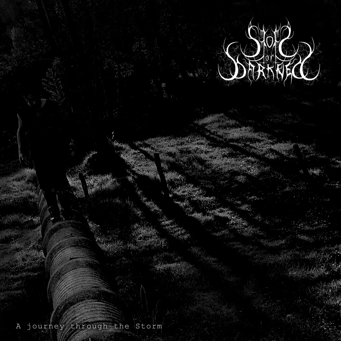 A Journey Through the Storm