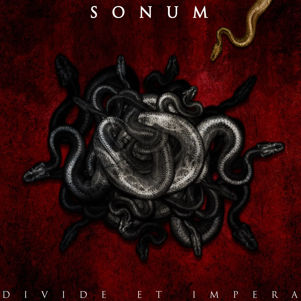 Official album cover art for the release Divide Et Impera by Sonum